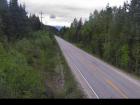 Webcam Image: Blanket Creek - N