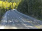 Webcam Image: Alpine Way - N